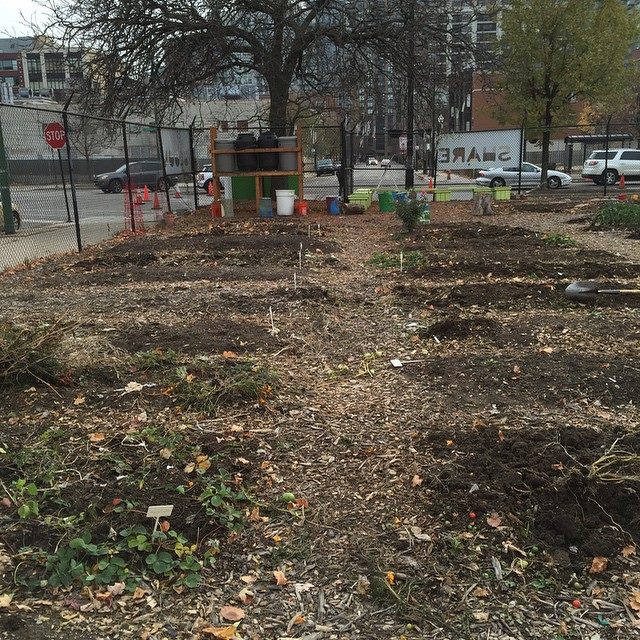 The End of Gardening Season