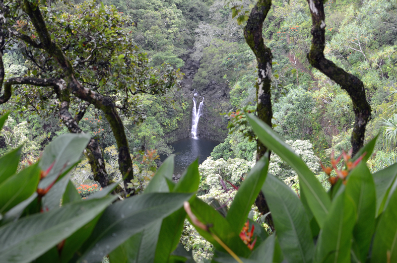 Maui Hawaii Waterfall