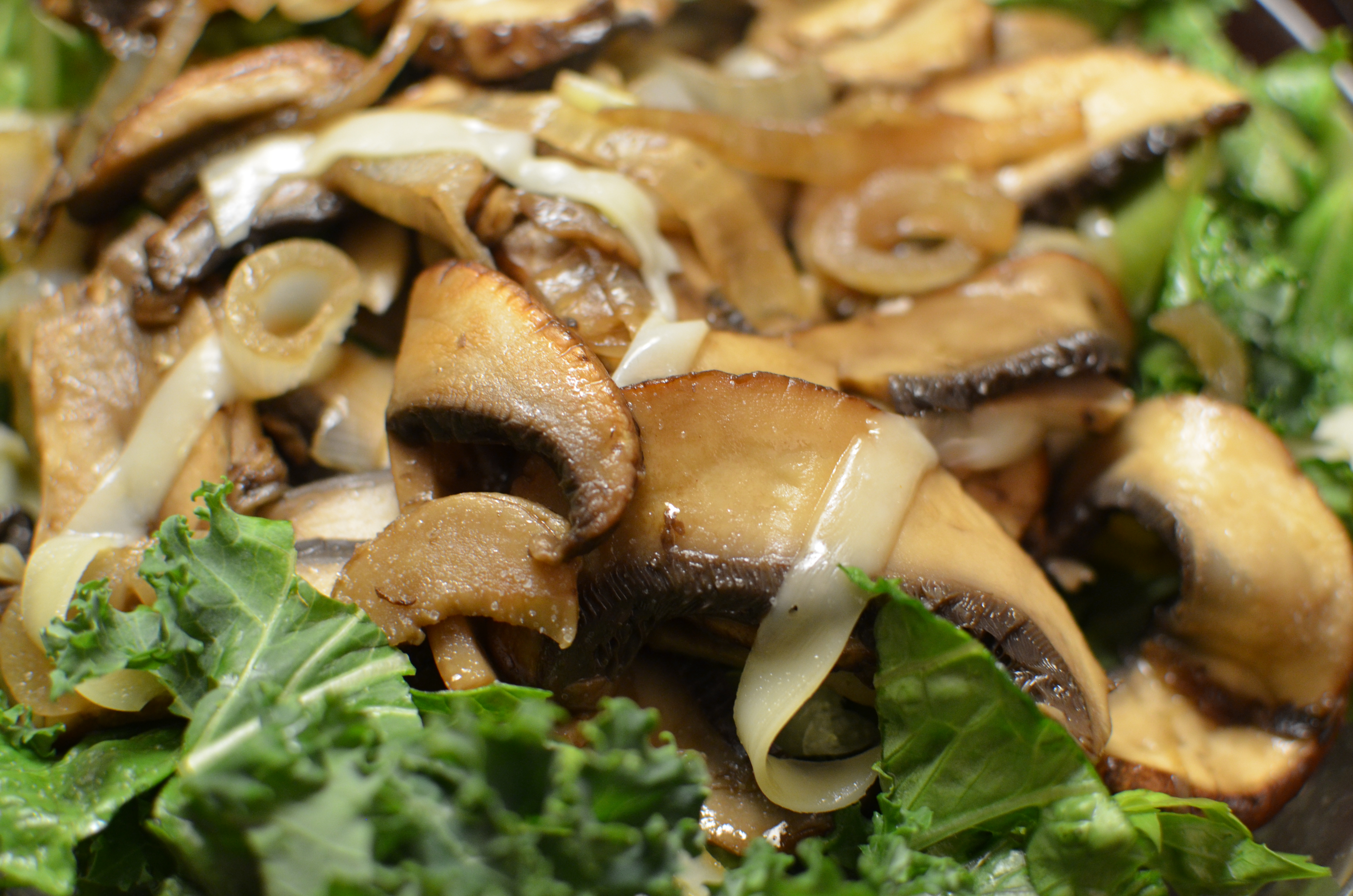 Mushroom Swiss Salad