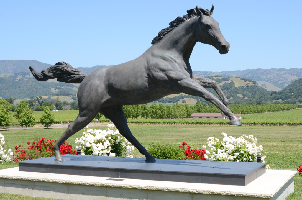 sonoma horse