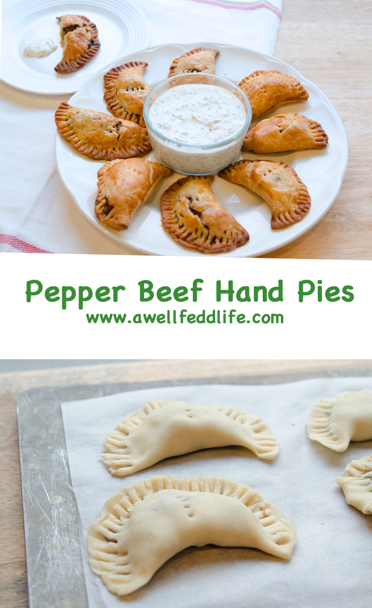 Beef Hand Pies with Dipping Sauce