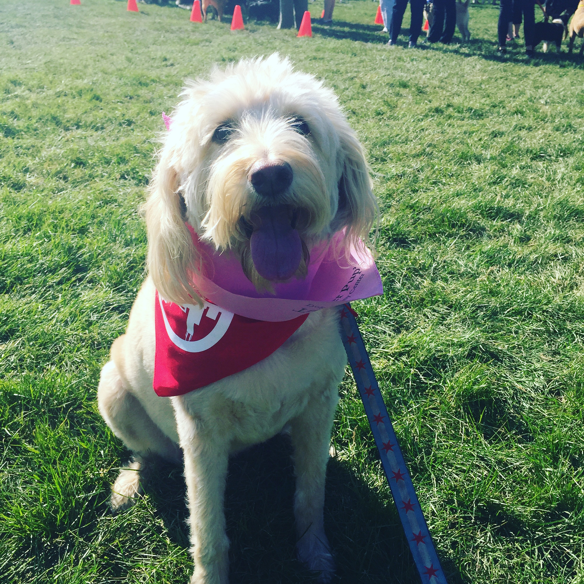 2016-05-21-08-34-02-2